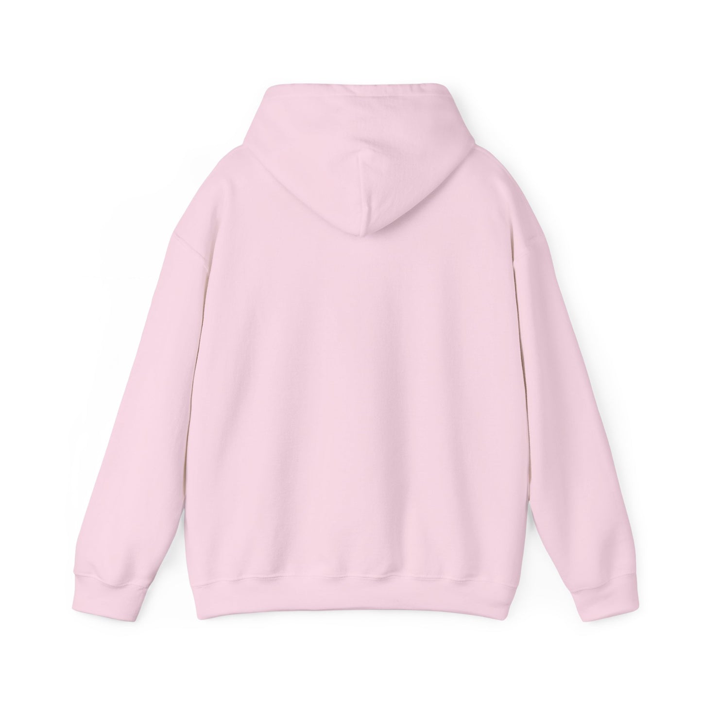 Your Voice Matters Hoodie - Adult
